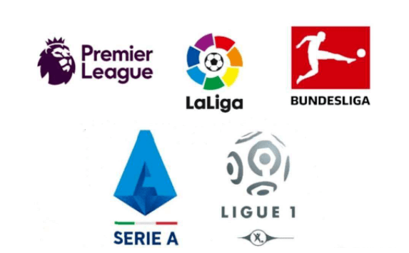 不仅仅体现 不仅仅体现